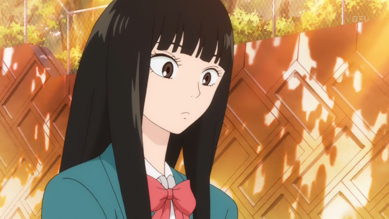 Kimi ni Todoke (Anime Rakuen)